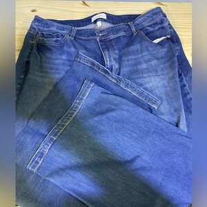 Lane Bryant Women's Blue Wide Leg  Jeans